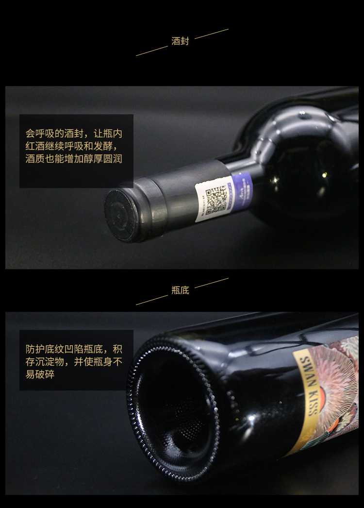 天鹅曲详情_08.jpg
